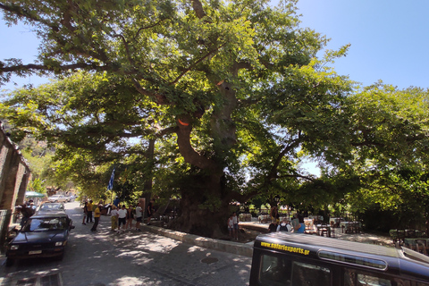 Kreta: Sightseeing dagstur med matlagningslektion och lunchKreta: dagsutflykt med matlagningslektion och lunch