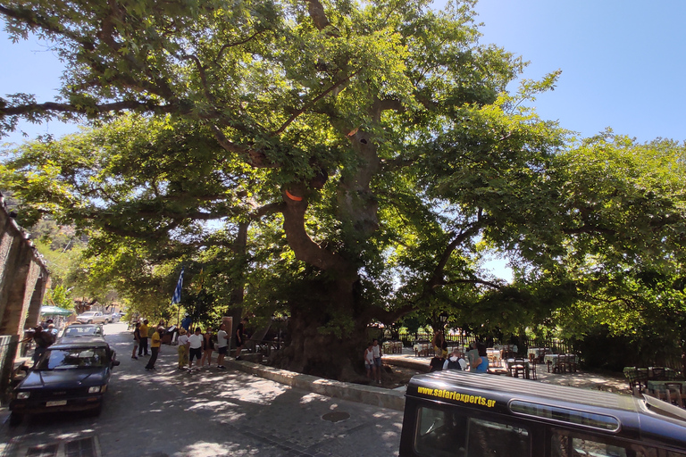 Kreta: Sightseeing-dagtocht met kookles en lunch