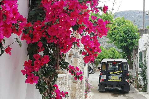 Kreta: Sightseeing dagstur med matlagningslektion och lunchKreta: dagsutflykt med matlagningslektion och lunch