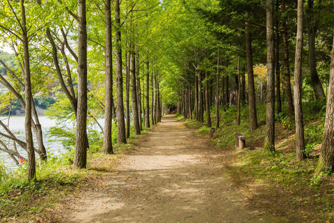 Nami Island & Seoul Highlights Private Tour for solo and couples