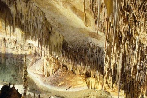 Majorque : Billet pour les grottes de Drach avec service de ramassage