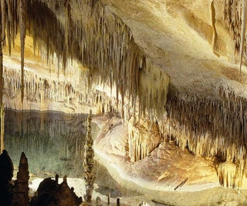 Mallorca: Ticket for Caves of Drach with Pickup Service