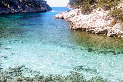 Cassis: Park Narodowy Calanques - wycieczka na paddleboardzie na stojąco