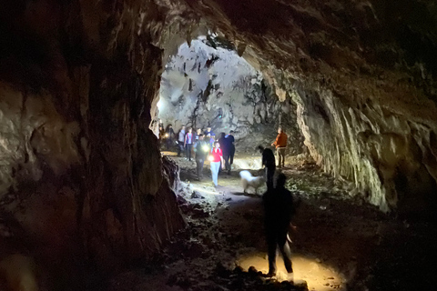 De Tirana: randonnée dans la grotte de Pellumbas et le canyon d'Erzeni