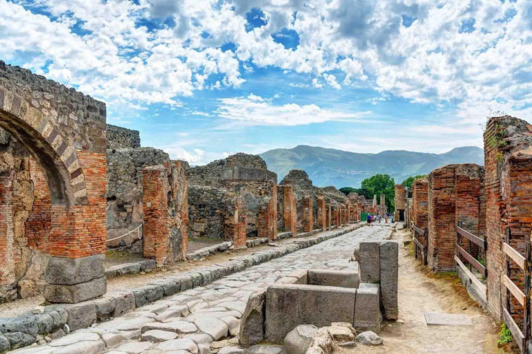 Vanuit Sorrento: Pompeii &amp; Mt. Vesuvius Tour met eenvoudige lunch