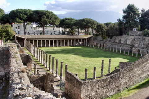 Vanuit Sorrento: Pompeii &amp; Mt. Vesuvius Tour met eenvoudige lunch