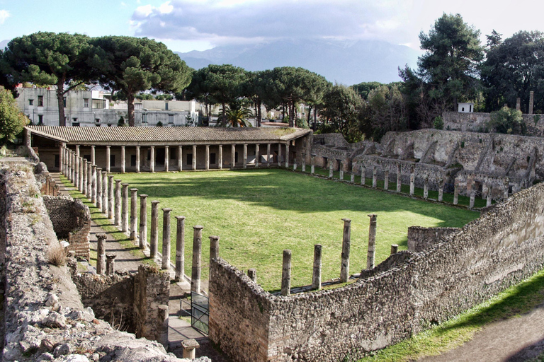 Vanuit Sorrento: Pompeii &amp; Mt. Vesuvius Tour met eenvoudige lunch