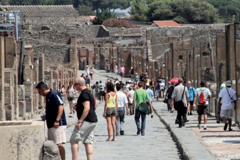Ab Sorrent: Herculaneum & Pompeji Tagesausflug mit Mittagessen