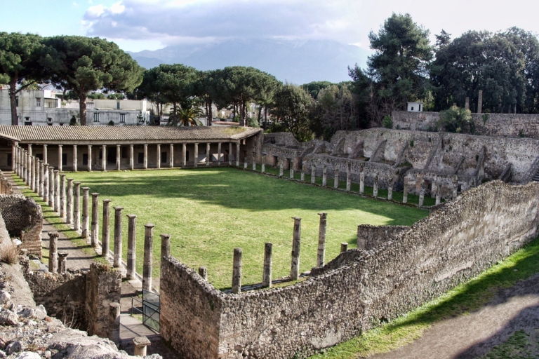 Desde Sorrento: excursión de un día a Herculano y Pompeya con almuerzo