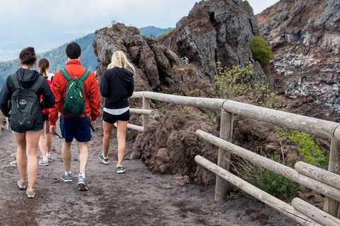 From Sorrento: Skip-the-Line Guided Vesuvius Hike and Lunch