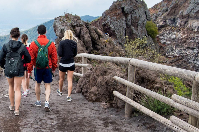 From Sorrento: Skip-the-Line Guided Vesuvius Hike and Lunch