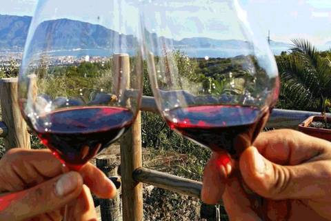 From Sorrento: Skip-the-Line Guided Vesuvius Hike and Lunch
