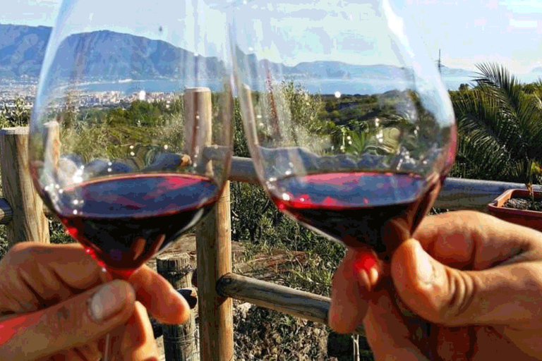 From Sorrento: Skip-the-Line Guided Vesuvius Hike and Lunch