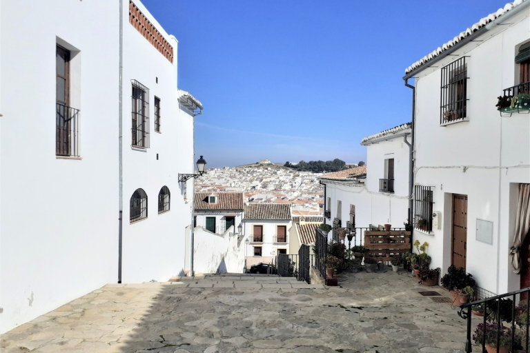 Malaga: visite guidée à pied d'AntequeraVisite privée à pied