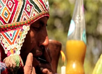 san pedro ceremony and flowering bath with coca reading - Housity