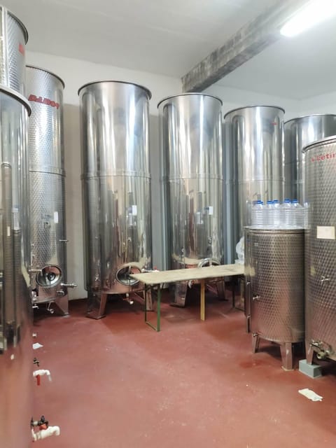 Ston's Bite of Delight, Škurla Winery's Wine & Snack - Hizvo