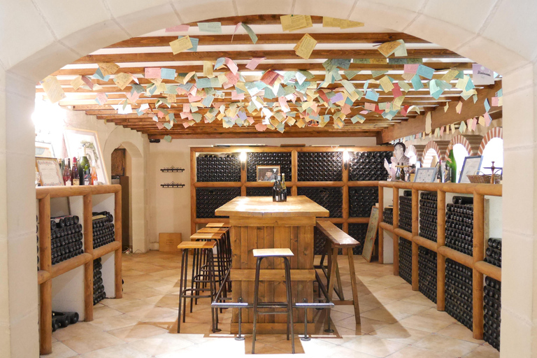 Angers: Guided Wine Tour at Château d'Avrillé with Tasting