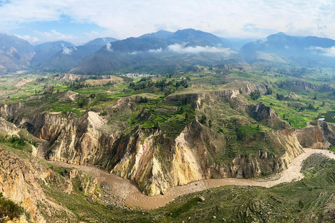 Depuis Arequipa : canyon de Colca et thermes de La Calera