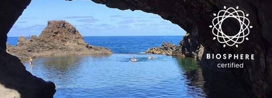 Madera: Skywalk, baseny wulkaniczne Porto Moniz i Fanal Tour