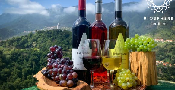 Madeira: Cabo Girão, Weinverkostung & Serra d'Água Jeep Tour