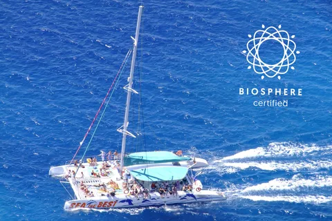 Madère : Cabo Girão, expérience vinicole et observation des dauphins