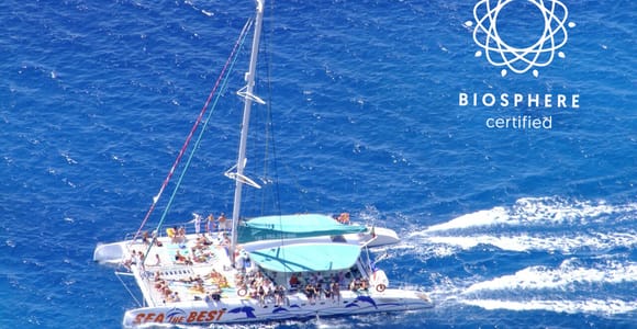 Madeira: Cabo Girão, Wines Experience and Dolphins Watching
