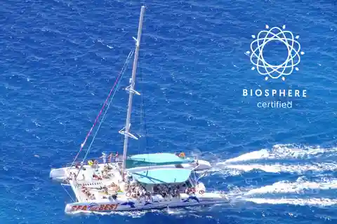 Madeira: Cabo Girão, Experiencia Vinos y Avistamiento de Delfines