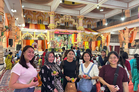 Descobre a Velha e a Nova Deli: excursão guiada de 1 dia ou de meio dia