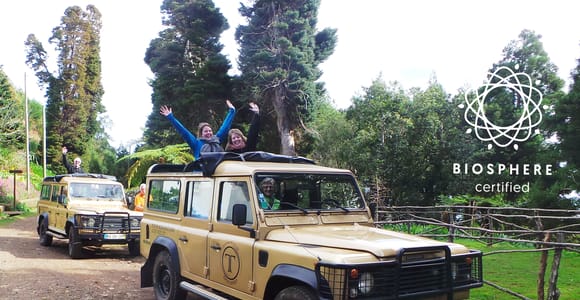 Madeira East or West Private Half-Day Tour by Open-Top Jeep