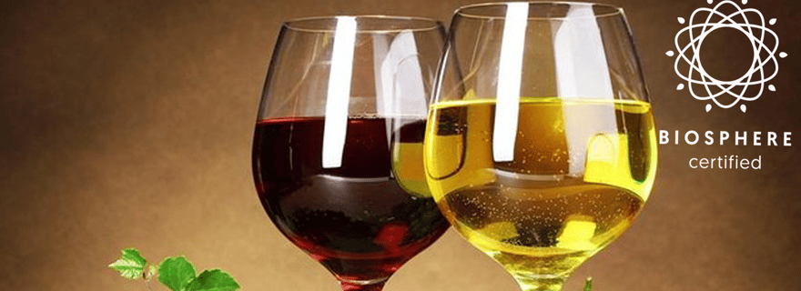 Madère : dégustation de vin, musée du miel et Cabo Girão