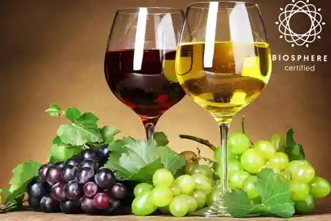 Madeira: Experiencia de Cata de Vinos Museo de la Miel y Cabo Girão