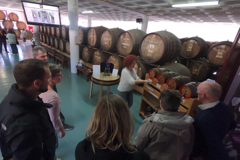 Ab Funchal: Ganztägige Skywalk & Madeira-Weinverkostungstour