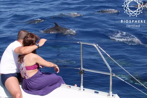 Funchal : Cabo Girão, dégustation de vins et observation des dauphins