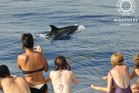 Funchal : Pico Arieiro, Cristo Rei et observation des dauphins