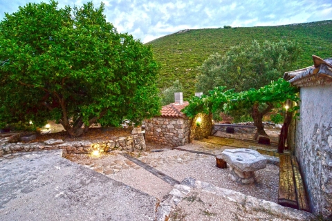 Zakynthos : Visite d'un vignoble et d'un établissement vinicole avec un viticulteur local