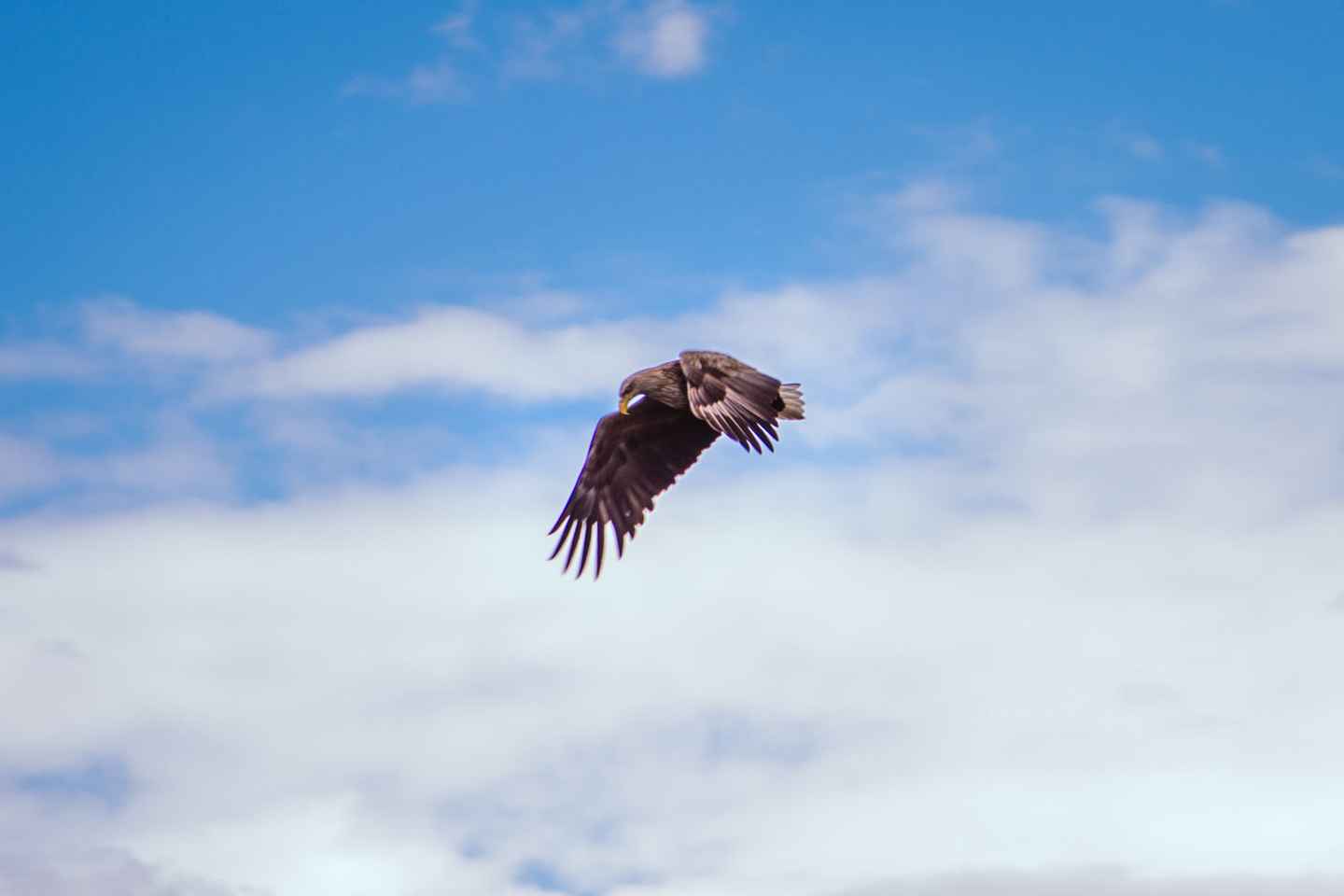 斯德哥尔摩家庭友好皮划艇巡游之旅