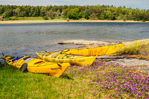 Stoccolma: tour privato in kayak per famiglie dell&#039;arcipelago