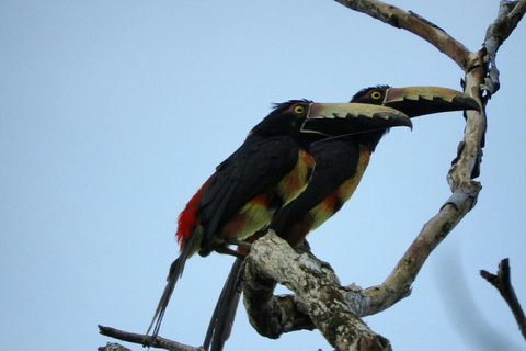 Van Panama-stad: privétour van een hele dag El Valle de Anton