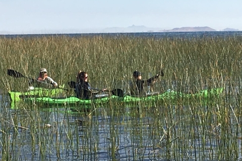 Desde Puno: kayak de medio día en las islas flotantes de los Uros