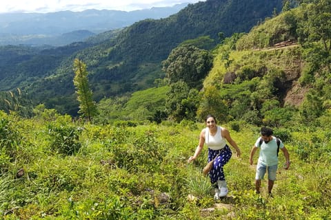 Kandy: Knuckles Mountain Range Day Hike
