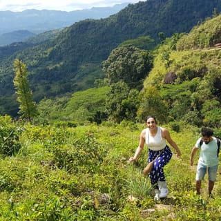 Kandy: Knuckles Mountain Range Day Hike