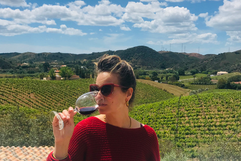 From Albufeira: Half-Day Winery Tour and Silves