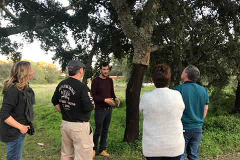 Depuis Albufeira: visite d'une cave d'une demi-journée et Silves