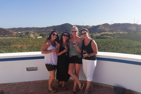 From Albufeira: Half-Day Winery Tour and Silves