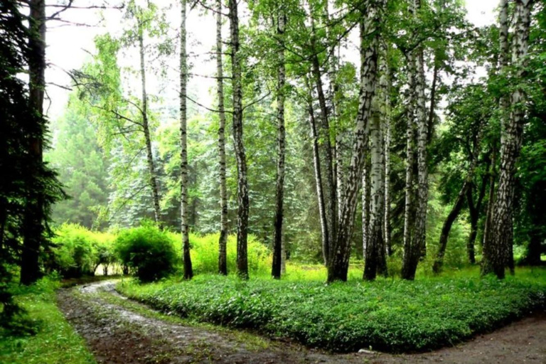 Eröffnung Armenien: Dendropark, Haghpat & Sanahin Klöster