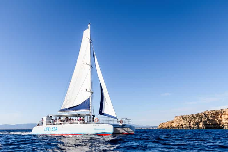 palma bay catamaran cruise