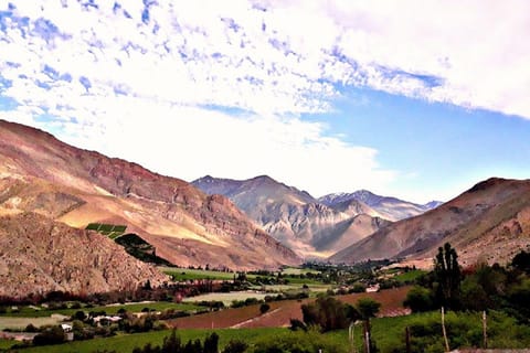 Pisco Elqui: Guided Day Trip with Artisan Village & Vineyard