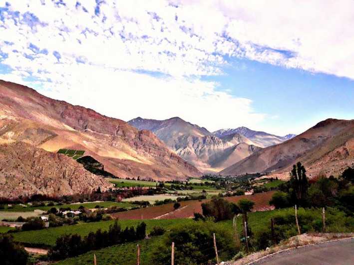 Pisco Elqui: Guided Day Trip with Artisan Village & Vineyard