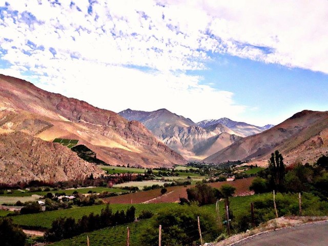 Visit Magical Journey through the High Elqui Valley in Vicuña