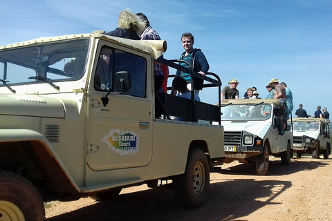 Depuis Albufeira : safari tout-terrain en 4x4 et dégustation de vins dans les vignobles